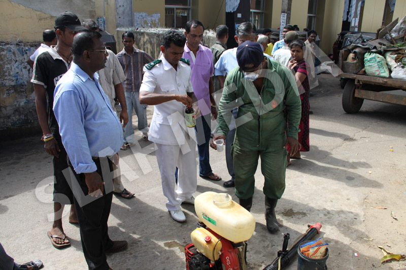 Dengue Prevention Campaign In Slave Island