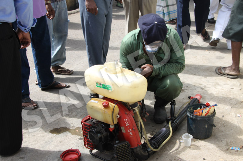 Dengue Prevention Campaign In Slave Island