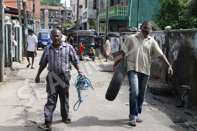 Dengue Prevention Campaign In Slave Island
