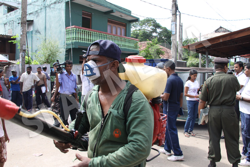 Dengue Prevention Campaign In Slave Island