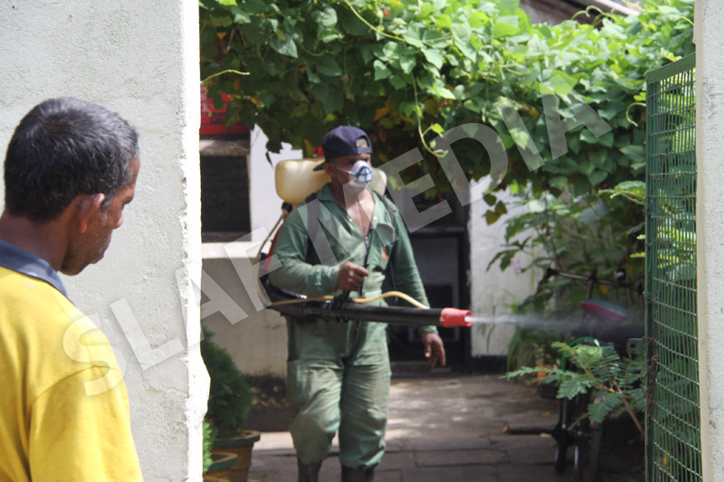 Dengue Prevention Campaign In Slave Island
