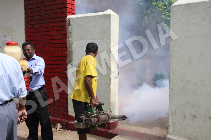Dengue Prevention Campaign In Slave Island