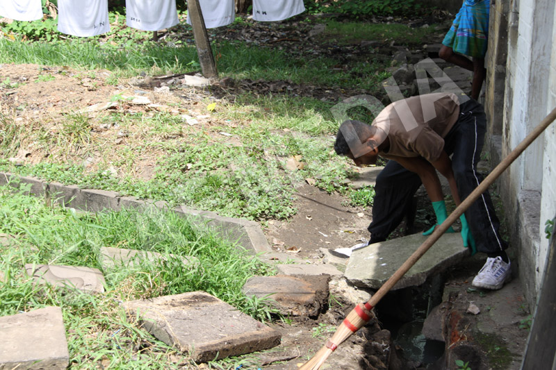 Dengue Prevention Campaign In Slave Island