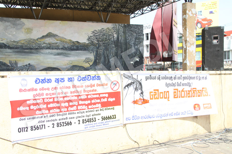 Dengue Prevention Campaign In Nugegoda