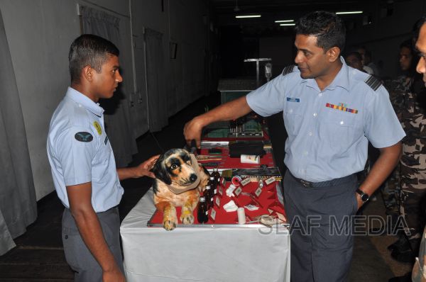 Dog handler hot sale training schools