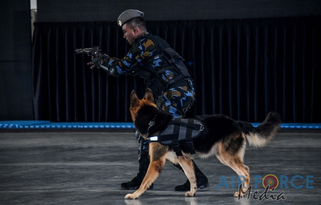 EXPLOSIVE AND NARCOTIC DETECTING AIR DOGS PASS OUT AT KATUNAYAKE