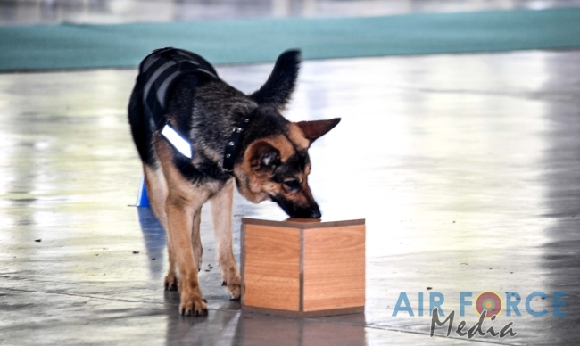 EXPLOSIVE AND
NARCOTIC DETECTING AIR DOGS PASS OUT AT KATUNAYAKE