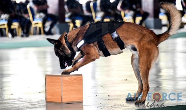 EXPLOSIVE AND
NARCOTIC DETECTING AIR DOGS PASS OUT AT KATUNAYAKE