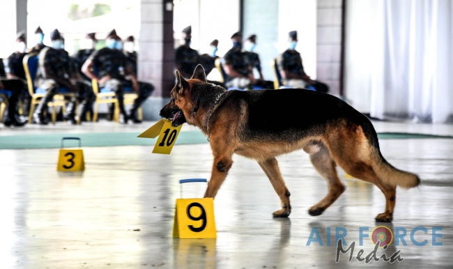EXPLOSIVE AND
NARCOTIC DETECTING AIR DOGS PASS OUT AT KATUNAYAKE