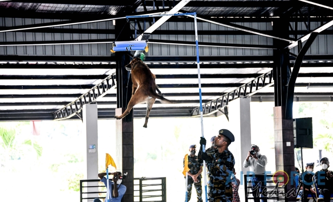EXPLOSIVE AND NARCOTIC DETECTING AIR DOGS PASS OUT AT KATUNAYAKE