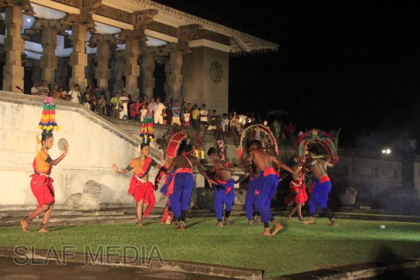 விமானப்படையின் வாத்திய மற்றும் நடன குழுவின் விசேட காட்சி நிகழ்ச்சி