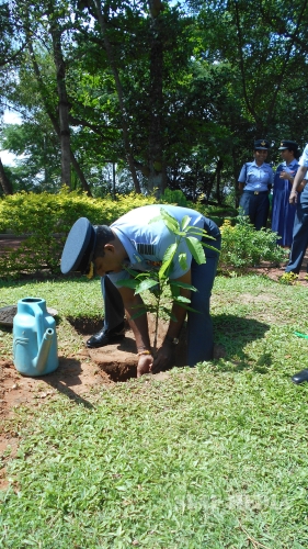 SLAF Celebrates ‘National Environmental Week’