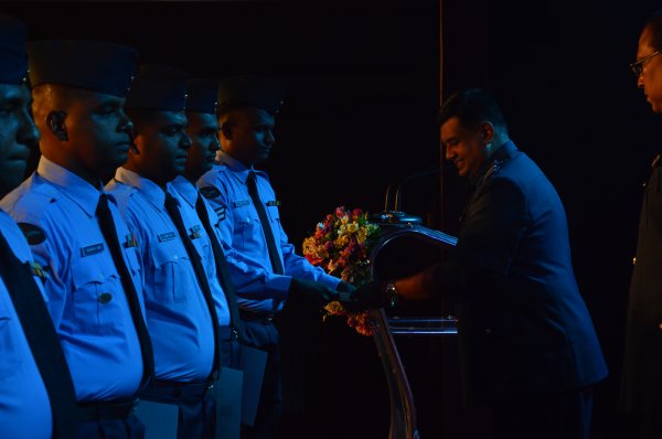 Excellence Award 2013