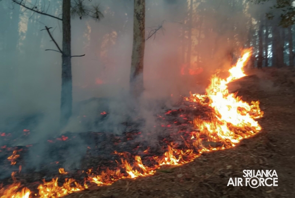 SLAF COMBAT TRAINING SCHOOL DIYATALAWA ASSISTS TO DOUSE THE FOREST FIRE