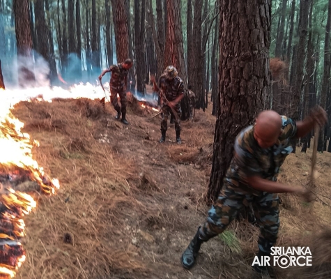 SLAF COMBAT TRAINING SCHOOL DIYATALAWA ASSISTS TO DOUSE THE FOREST FIRE
