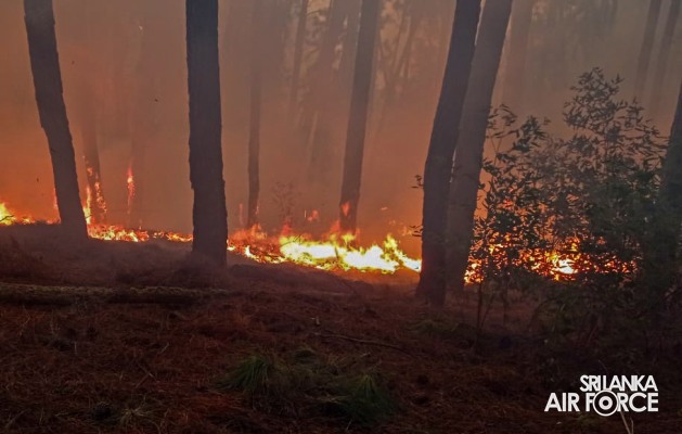 SLAF
ASSISTS TO DOUSE THE FOREST FIRE