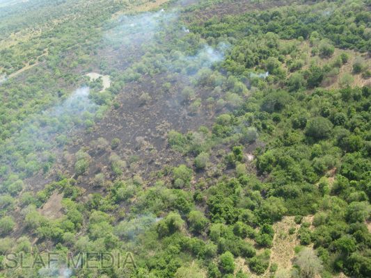 SLAF Helicopters in Action