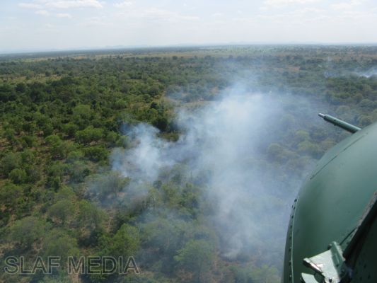 SLAF Helicopters in Action