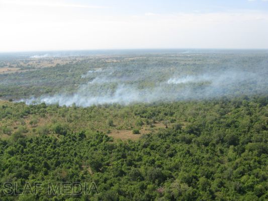 SLAF Helicopters in Action