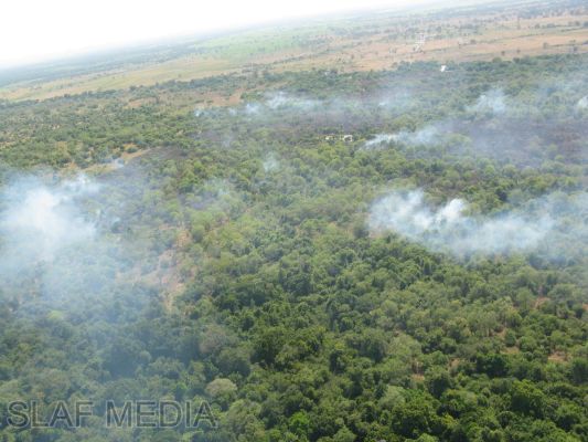 SLAF Helicopters in Action