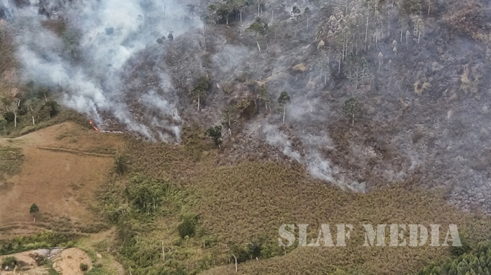 SLAF Fire Fighters In Action at Dayagama Hatton