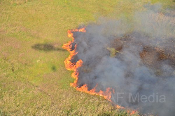 Aerial
Fire Fighters in Action in Muthurajawela