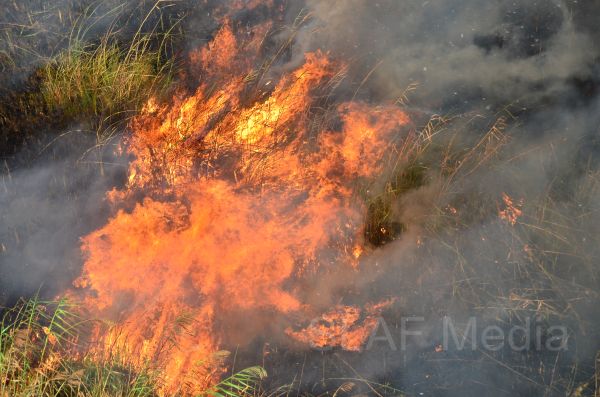 Aerial
Fire Fighters in Action in Muthurajawela
