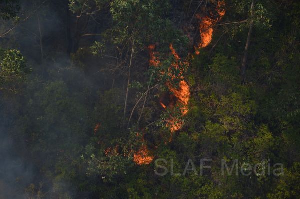 Aerial Fire Fighters in Action in Nallathanniya