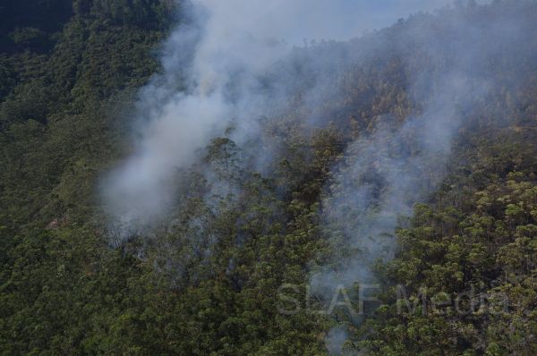 Aerial Fire Fighters in Action in Nallathanniya
