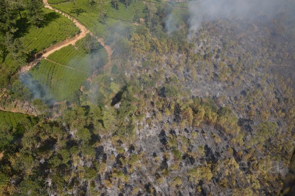 Aerial Fire Fighters in Action in Nallathanniya