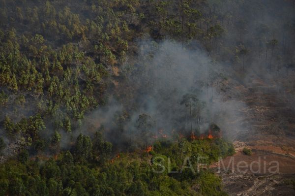 Aerial Fire Fighters in Action in Nallathanniya