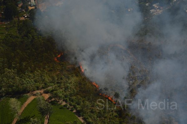 Aerial Fire Fighters in Action in Nallathanniya
