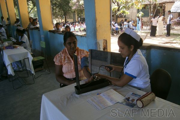 Celebration of
International Heart Day