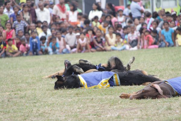 ශ්රී ලංකා ගුවන් හමුදා කොළඹ කඳවුර වාර්ශික ළමා සාදය සාර්ථකව නිම කරයි....