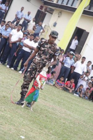 ශ්රී ලංකා ගුවන් හමුදා කොළඹ කඳවුර වාර්ශික ළමා සාදය සාර්ථකව නිම කරයි....