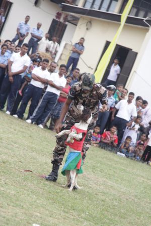 ශ්රී ලංකා ගුවන් හමුදා කොළඹ කඳවුර වාර්ශික ළමා සාදය සාර්ථකව නිම කරයි....