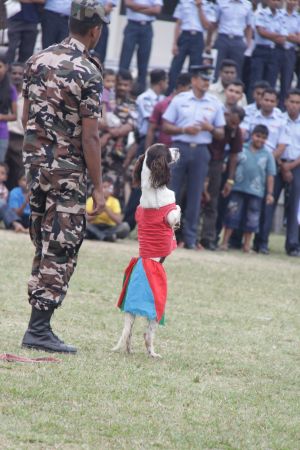 ශ්රී ලංකා ගුවන් හමුදා කොළඹ කඳවුර වාර්ශික ළමා සාදය සාර්ථකව නිම කරයි....