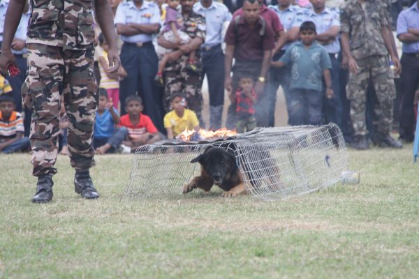 ශ්රී ලංකා ගුවන් හමුදා කොළඹ කඳවුර වාර්ශික ළමා සාදය සාර්ථකව නිම කරයි....