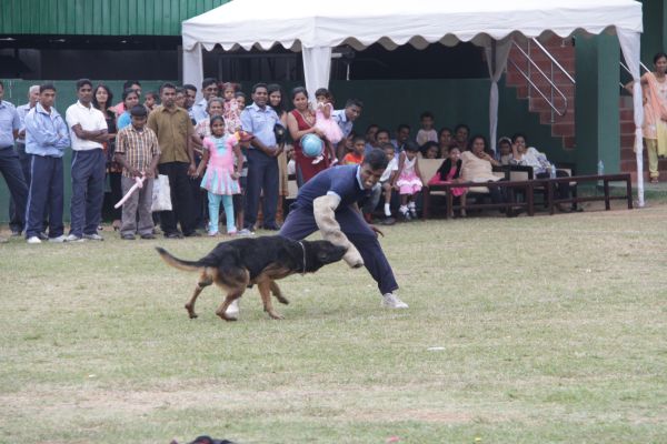 ශ්රී ලංකා ගුවන් හමුදා කොළඹ කඳවුර වාර්ශික ළමා සාදය සාර්ථකව නිම කරයි....