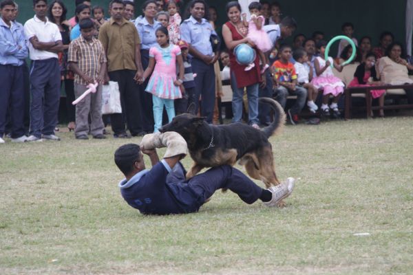 ශ්රී ලංකා ගුවන් හමුදා කොළඹ කඳවුර වාර්ශික ළමා සාදය සාර්ථකව නිම කරයි....