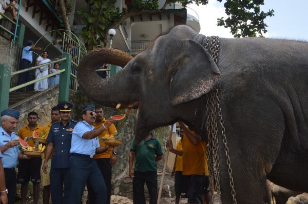 Air Chief Marshal Arup Raha visits Temple of the Sacred Tooth