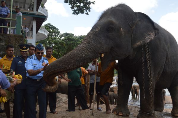 Air Chief Marshal Arup Raha visits Temple of the Sacred Tooth