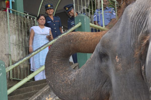 Air Chief Marshal Arup Raha visits Temple of the Sacred Tooth