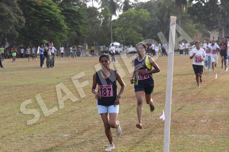 කොළඹ කඳවුර අන්තර් ඒකක මලල ක්රීඩා තරගාවලිය ජය ගනී