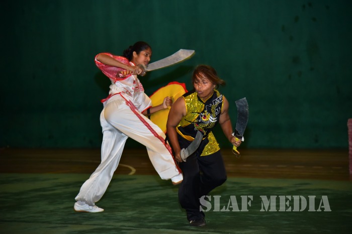 Inter Unit Wushu Championship 2017