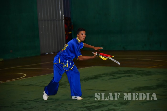Inter Unit Wushu Championship 2017