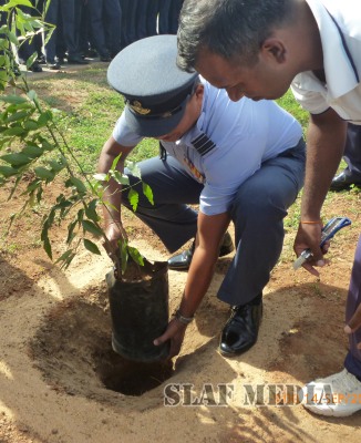 Tree Plantation Programme at Station Iranamadu