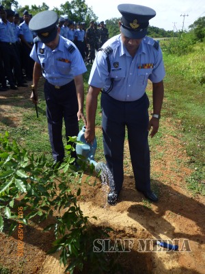 Tree Plantation Programme at Station Iranamadu