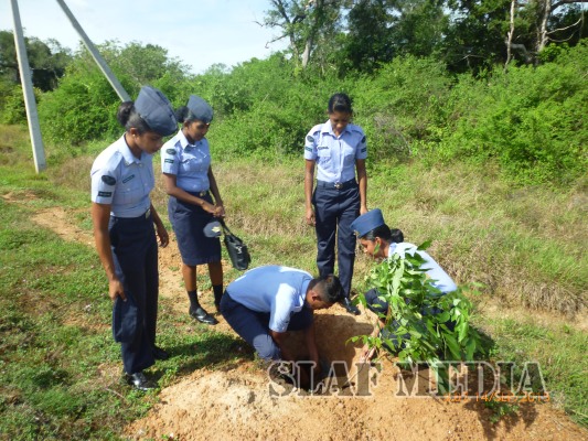 Tree Plantation Programme at Station Iranamadu