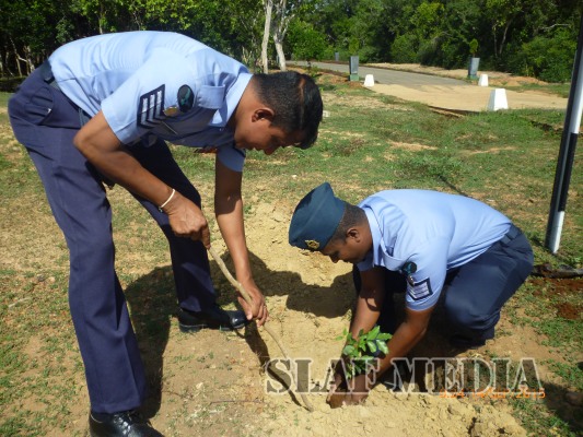 Tree Plantation Programme at Station Iranamadu